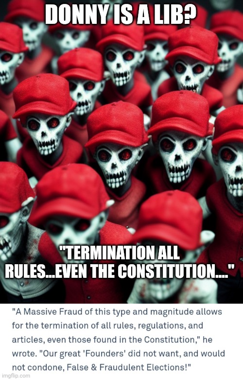DONNY IS A LIB? "TERMINATION ALL RULES...EVEN THE CONSTITUTION...." | image tagged in maga undead | made w/ Imgflip meme maker