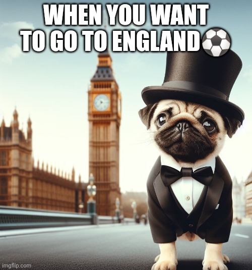 Pug!!! | WHEN YOU WANT TO GO TO ENGLAND⚽ | image tagged in pug | made w/ Imgflip meme maker