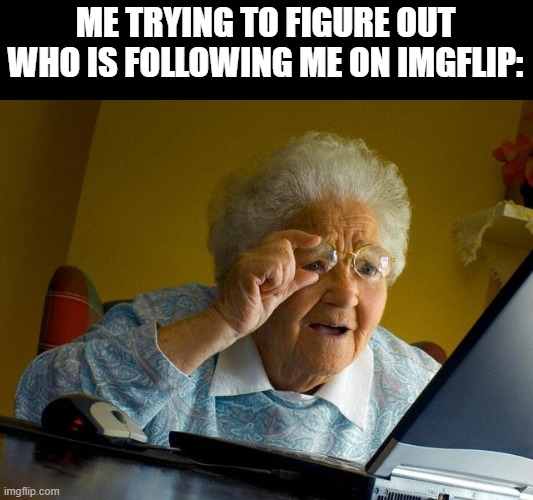 Grandma Finds The Internet Meme | ME TRYING TO FIGURE OUT WHO IS FOLLOWING ME ON IMGFLIP: | image tagged in memes,grandma finds the internet | made w/ Imgflip meme maker