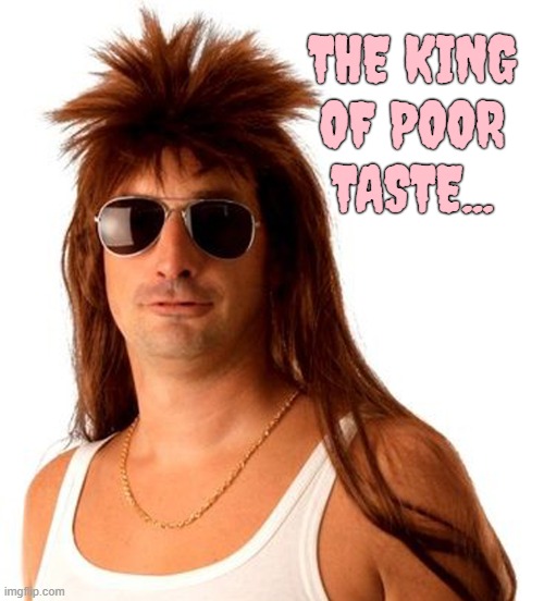poor taste | THE KING OF POOR TASTE... | image tagged in bad taste,redneck,redneck wonder,clothing | made w/ Imgflip meme maker