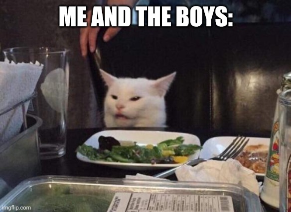 Salad cat | ME AND THE BOYS: | image tagged in salad cat | made w/ Imgflip meme maker