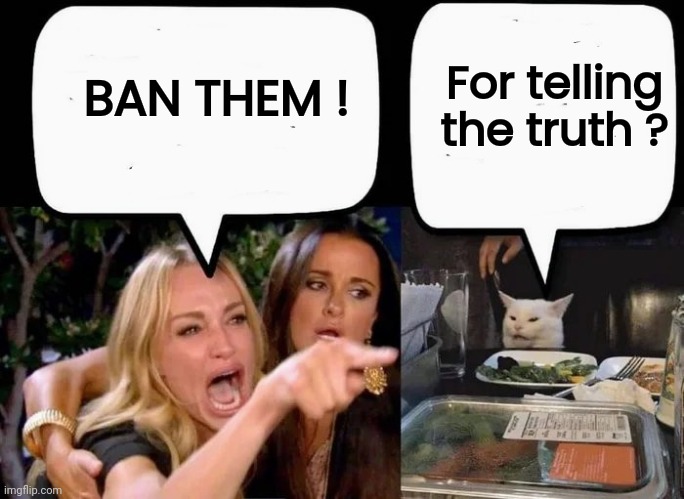BAN THEM ! For telling the truth ? | made w/ Imgflip meme maker