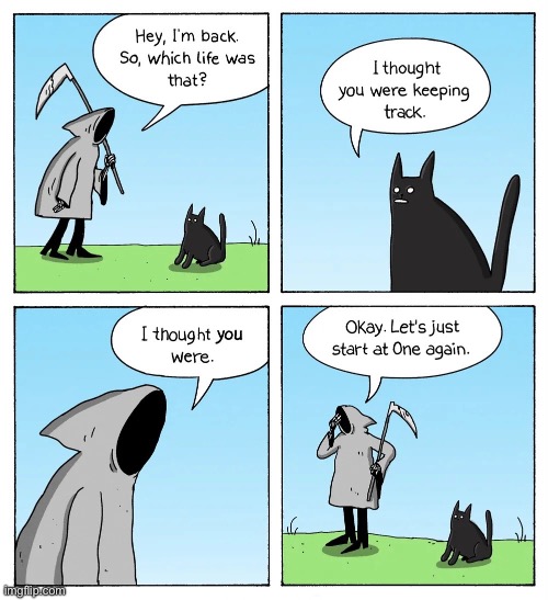 Cats lives | image tagged in nine lives,who is counting,start again | made w/ Imgflip meme maker