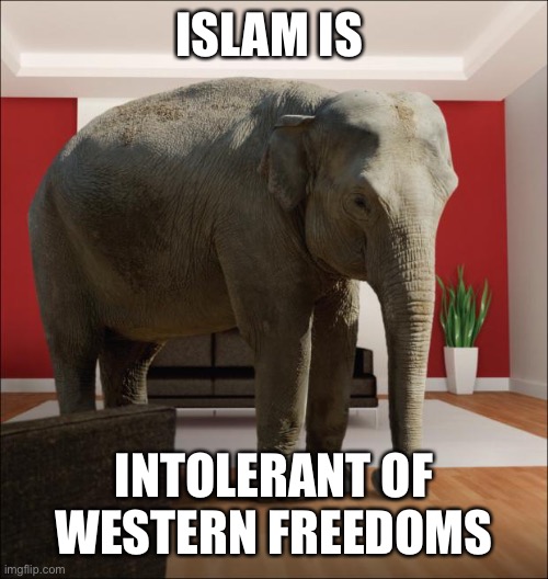 Elephant in the room | ISLAM IS; INTOLERANT OF WESTERN FREEDOMS | image tagged in elephant in the room,islam,intolerant,freedoms | made w/ Imgflip meme maker