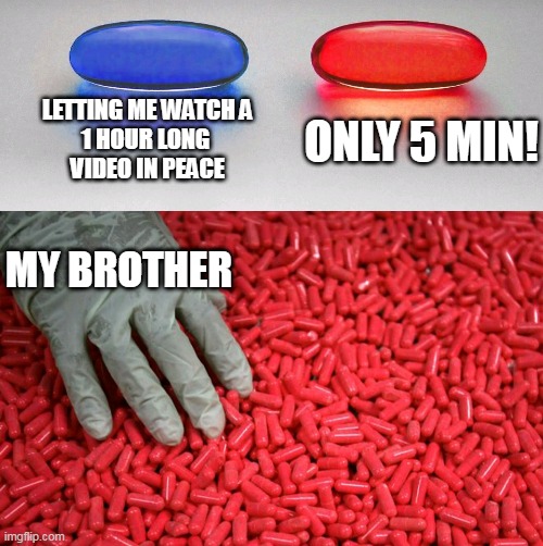 Blue or red pill | LETTING ME WATCH A
1 HOUR LONG 
VIDEO IN PEACE; ONLY 5 MIN! MY BROTHER | image tagged in blue or red pill | made w/ Imgflip meme maker