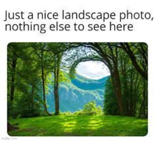 Nothing to see here | image tagged in wow look nothing | made w/ Imgflip meme maker
