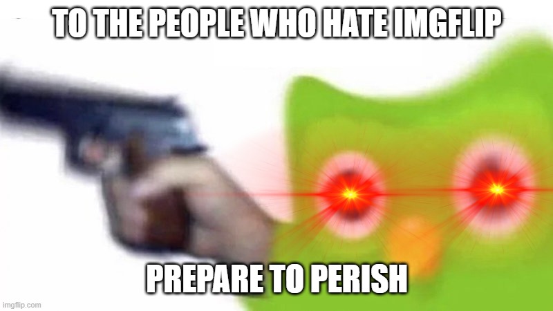 duolingo gun | TO THE PEOPLE WHO HATE IMGFLIP PREPARE TO PERISH | image tagged in duolingo gun | made w/ Imgflip meme maker