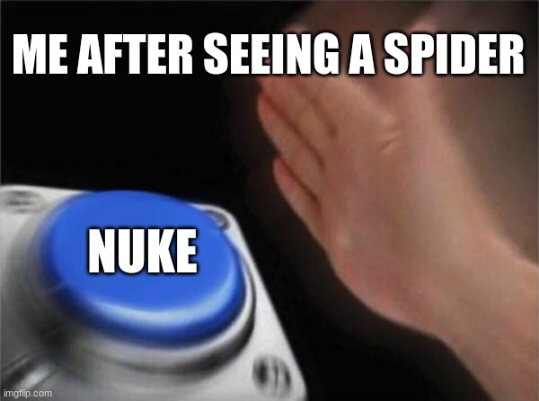 Kill it with fire irl | ME AFTER SEEING A SPIDER; NUKE | image tagged in memes,blank nut button | made w/ Imgflip meme maker