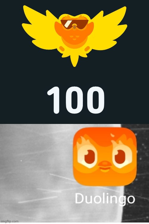 100 day streak in Duolingo. Got the fire icon | image tagged in party | made w/ Imgflip meme maker
