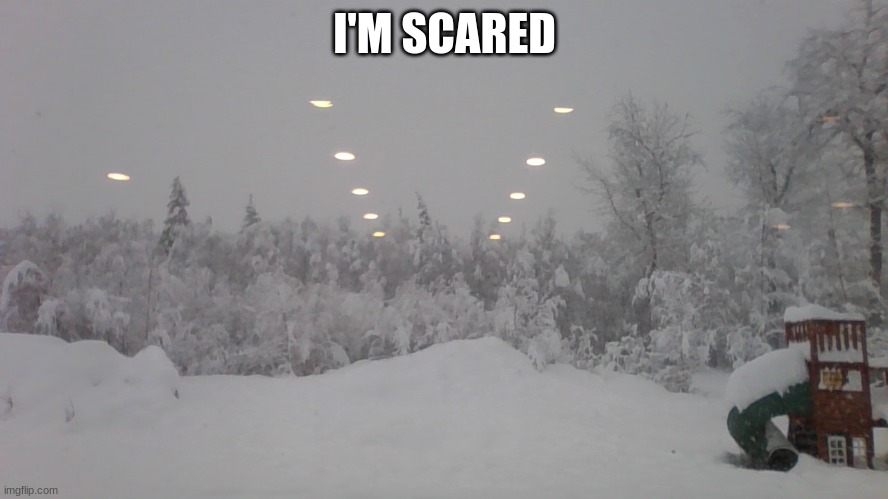 snow | I'M SCARED | image tagged in vary much snow | made w/ Imgflip meme maker