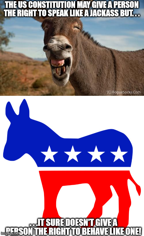Something I realized quite awhile ago. | THE US CONSTITUTION MAY GIVE A PERSON THE RIGHT TO SPEAK LIKE A JACKASS BUT. . . . . .IT SURE DOESN'T GIVE A PERSON THE RIGHT TO BEHAVE LIKE ONE! | image tagged in donkey jackass braying,democratic party logo | made w/ Imgflip meme maker
