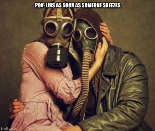 gas mask | POV: LIBS AS SOON AS SOMEONE SNEEZES. | image tagged in gas mask | made w/ Imgflip meme maker