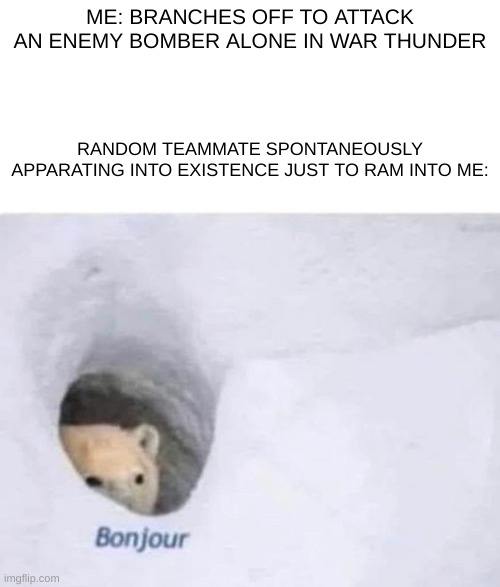 happens way too often in low tiers ): | ME: BRANCHES OFF TO ATTACK AN ENEMY BOMBER ALONE IN WAR THUNDER; RANDOM TEAMMATE SPONTANEOUSLY APPARATING INTO EXISTENCE JUST TO RAM INTO ME: | image tagged in bonjour | made w/ Imgflip meme maker