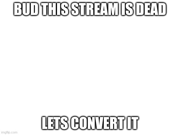 decide what you want in comments | BUD THIS STREAM IS DEAD; LETS CONVERT IT | image tagged in s | made w/ Imgflip meme maker