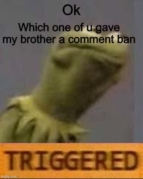 >:( | Which one of u gave my brother a comment ban; Ok | image tagged in kermit triggered | made w/ Imgflip meme maker