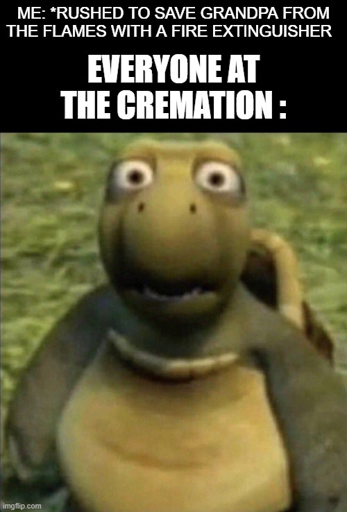 hold on grandpa ! i'm coming ! | ME: *RUSHED TO SAVE GRANDPA FROM THE FLAMES WITH A FIRE EXTINGUISHER; EVERYONE AT THE CREMATION : | image tagged in shocked turtle | made w/ Imgflip meme maker