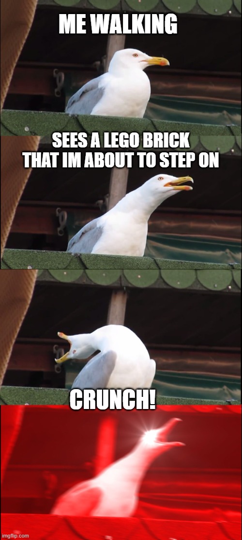 Inhaling Seagull | ME WALKING; SEES A LEGO BRICK THAT IM ABOUT TO STEP ON; CRUNCH! | image tagged in memes,inhaling seagull | made w/ Imgflip meme maker