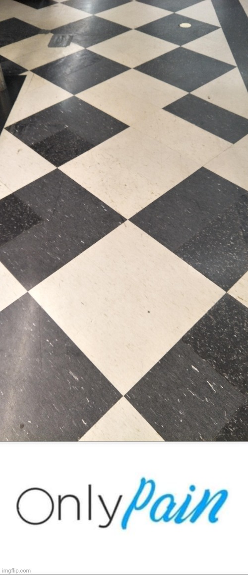 Floor tiles | image tagged in onlypain,floor,tiles,tile,you had one job,memes | made w/ Imgflip meme maker