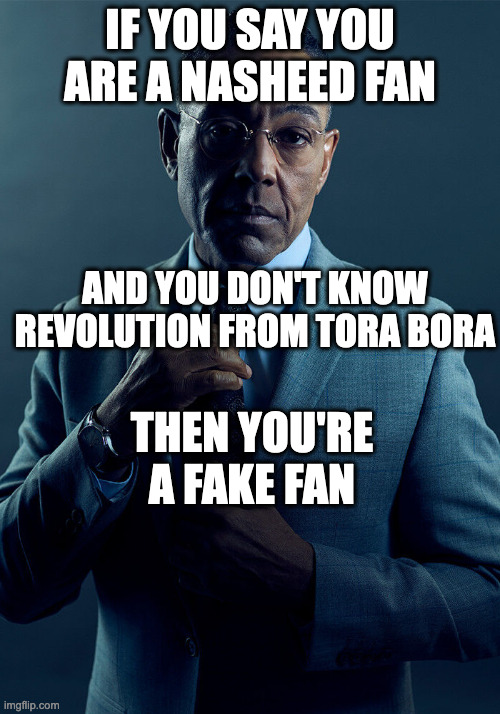 facts | IF YOU SAY YOU ARE A NASHEED FAN; AND YOU DON'T KNOW REVOLUTION FROM TORA BORA; THEN YOU'RE A FAKE FAN | image tagged in we are not the same | made w/ Imgflip meme maker
