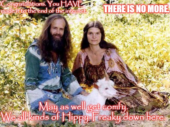 Chose Not To.. | Congratulations. You HAVE made it to the end of the internet. THERE IS NO MORE. May as well get comfy.
We all kinds of Hippy-Freaky down here. | image tagged in chose not to | made w/ Imgflip meme maker