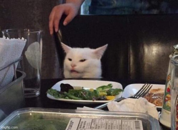 Confused dinner cat | image tagged in confused dinner cat | made w/ Imgflip meme maker