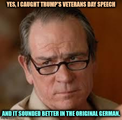 Copy and paste from Hitler's speeches. | YES, I CAUGHT TRUMP'S VETERANS DAY SPEECH; AND IT SOUNDED BETTER IN THE ORIGINAL GERMAN. | image tagged in my face when someone asks a stupid question,trump,veterans day,hitler,speech | made w/ Imgflip meme maker
