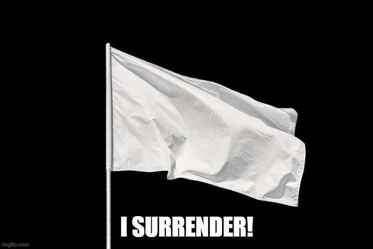 I surrender | image tagged in i surrender | made w/ Imgflip meme maker