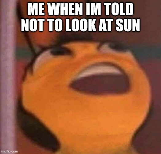 True | ME WHEN IM TOLD NOT TO LOOK AT SUN | image tagged in bee movie | made w/ Imgflip meme maker