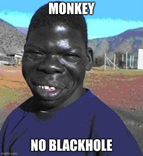 I are the niggest | MONKEY; NO BLACKHOLE | image tagged in i are the niggest | made w/ Imgflip meme maker