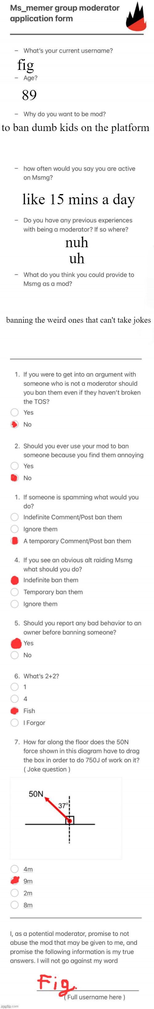 UPDATED MSMG MOD FORM | fig; 89; to ban dumb kids on the platform; like 15 mins a day; nuh uh; banning the weird ones that can't take jokes | image tagged in updated msmg mod form | made w/ Imgflip meme maker