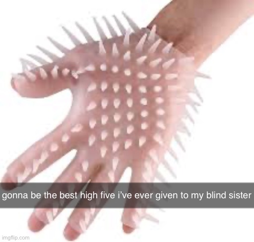 gonna be the best high five i’ve ever given to my blind sister | made w/ Imgflip meme maker