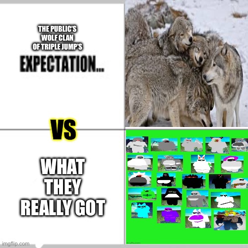 The people’s expectation vs what they really got | THE PUBLIC’S WOLF CLAN OF TRIPLE JUMP’S; VS; WHAT THEY REALLY GOT | image tagged in expectation vs reality | made w/ Imgflip meme maker