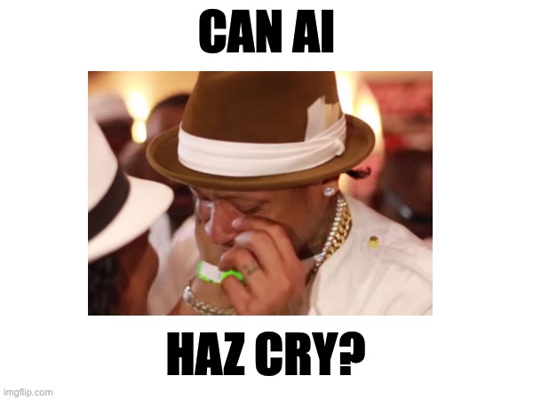 CAN AI HAZ CRY? | CAN AI; HAZ CRY? | image tagged in ai | made w/ Imgflip meme maker