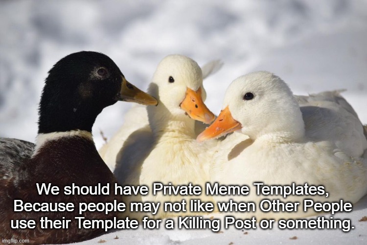 Petition to Add Private meme Templates | We should have Private Meme Templates, Because people may not like when Other People use their Template for a Killing Post or something. | image tagged in dunkin ducks,meme template,imgflip,idea | made w/ Imgflip meme maker