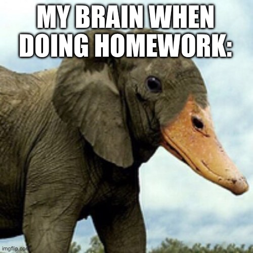 MY BRAIN WHEN DOING HOMEWORK: | made w/ Imgflip meme maker