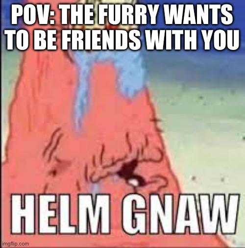 HELM GNAW | POV: THE FURRY WANTS TO BE FRIENDS WITH YOU | image tagged in helm gnaw | made w/ Imgflip meme maker