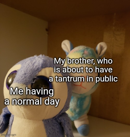 Does anyone else relate? | My brother, who is about to have a tantrum in public; Me having a normal day | image tagged in the end is near | made w/ Imgflip meme maker