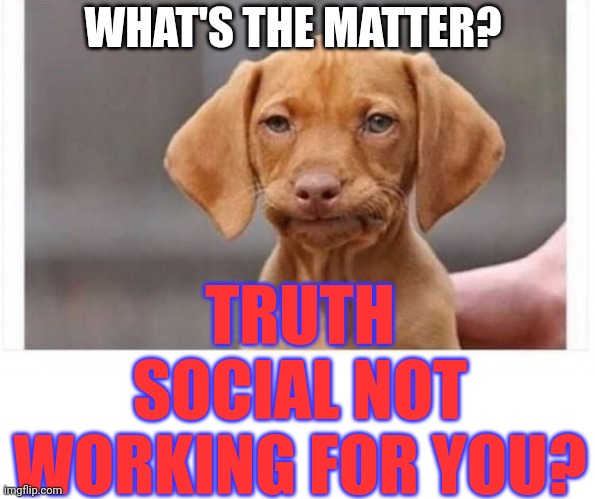 Ah naw | WHAT'S THE MATTER? TRUTH SOCIAL NOT WORKING FOR YOU? | image tagged in ah naw | made w/ Imgflip meme maker
