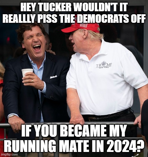 Tucker and Trump - Closeup | HEY TUCKER WOULDN'T IT REALLLY PISS THE DEMOCRATS OFF; IF YOU BECAME MY RUNNING MATE IN 2024? | image tagged in tucker and trump - closeup | made w/ Imgflip meme maker