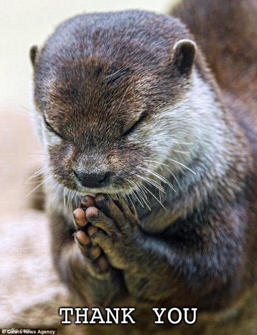 Thank you Lord Otter | THANK YOU | image tagged in thank you lord otter | made w/ Imgflip meme maker