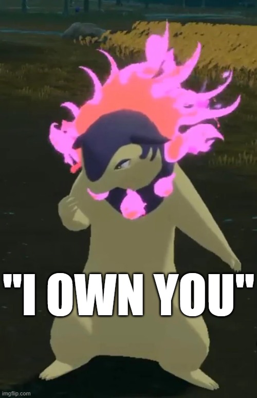 Hisuian Typhlosion | "I OWN YOU" | image tagged in hisuian typhlosion | made w/ Imgflip meme maker