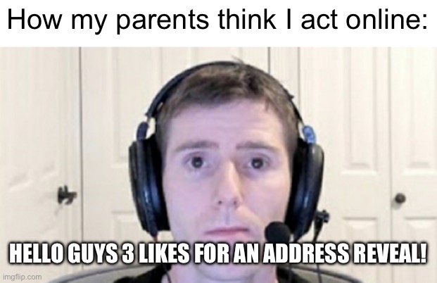 Meme #159 | How my parents think I act online:; HELLO GUYS 3 LIKES FOR AN ADDRESS REVEAL! | image tagged in dead inside youtuber,parents,this tag is just there because tag | made w/ Imgflip meme maker