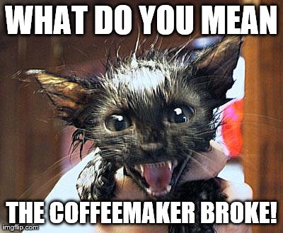 WHAT DO YOU MEAN THE COFFEEMAKER BROKE! | image tagged in psycho cat | made w/ Imgflip meme maker