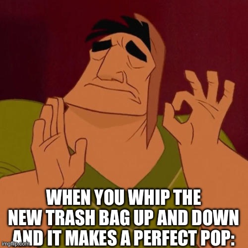 When X just right | WHEN YOU WHIP THE NEW TRASH BAG UP AND DOWN AND IT MAKES A PERFECT POP: | image tagged in when x just right,relatable,funny,new trash bag | made w/ Imgflip meme maker