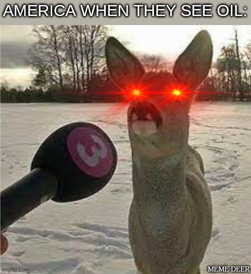 They take it and leave | AMERICA WHEN THEY SEE OIL:; MEME DEER | image tagged in angry deer | made w/ Imgflip meme maker