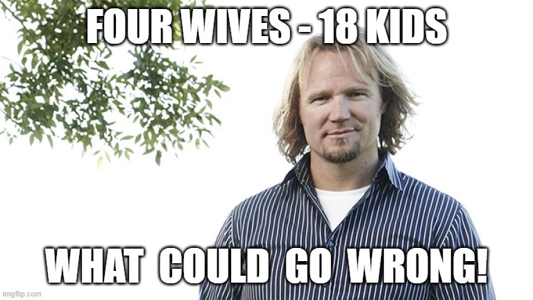 FOUR WIVES - 18 KIDS; WHAT  COULD  GO  WRONG! | image tagged in sister wives,kody brown | made w/ Imgflip meme maker