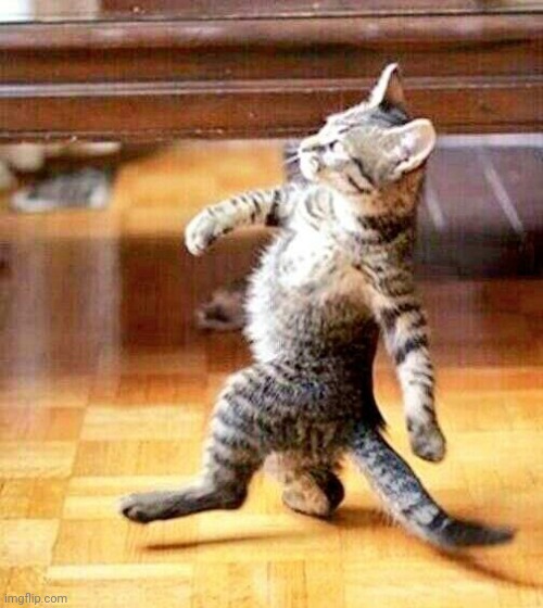 Aight I'ma head out | image tagged in cat walking away | made w/ Imgflip meme maker