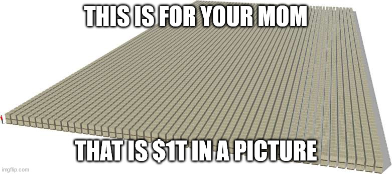 One trillion dollars of $100 bills. | THIS IS FOR YOUR MOM THAT IS $1T IN A PICTURE | image tagged in one trillion dollars of 100 bills | made w/ Imgflip meme maker
