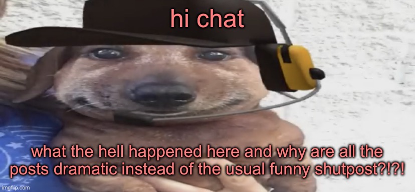 chucklenuts | hi chat; what the hell happened here and why are all the posts dramatic instead of the usual funny shutpost?!?! | image tagged in chucklenuts | made w/ Imgflip meme maker