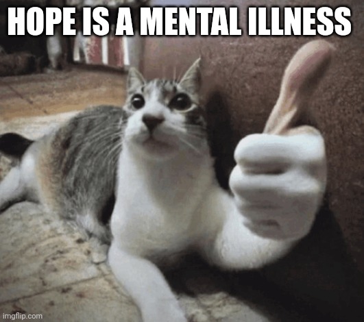 cat thumbs up | HOPE IS A MENTAL ILLNESS | image tagged in cat thumbs up | made w/ Imgflip meme maker